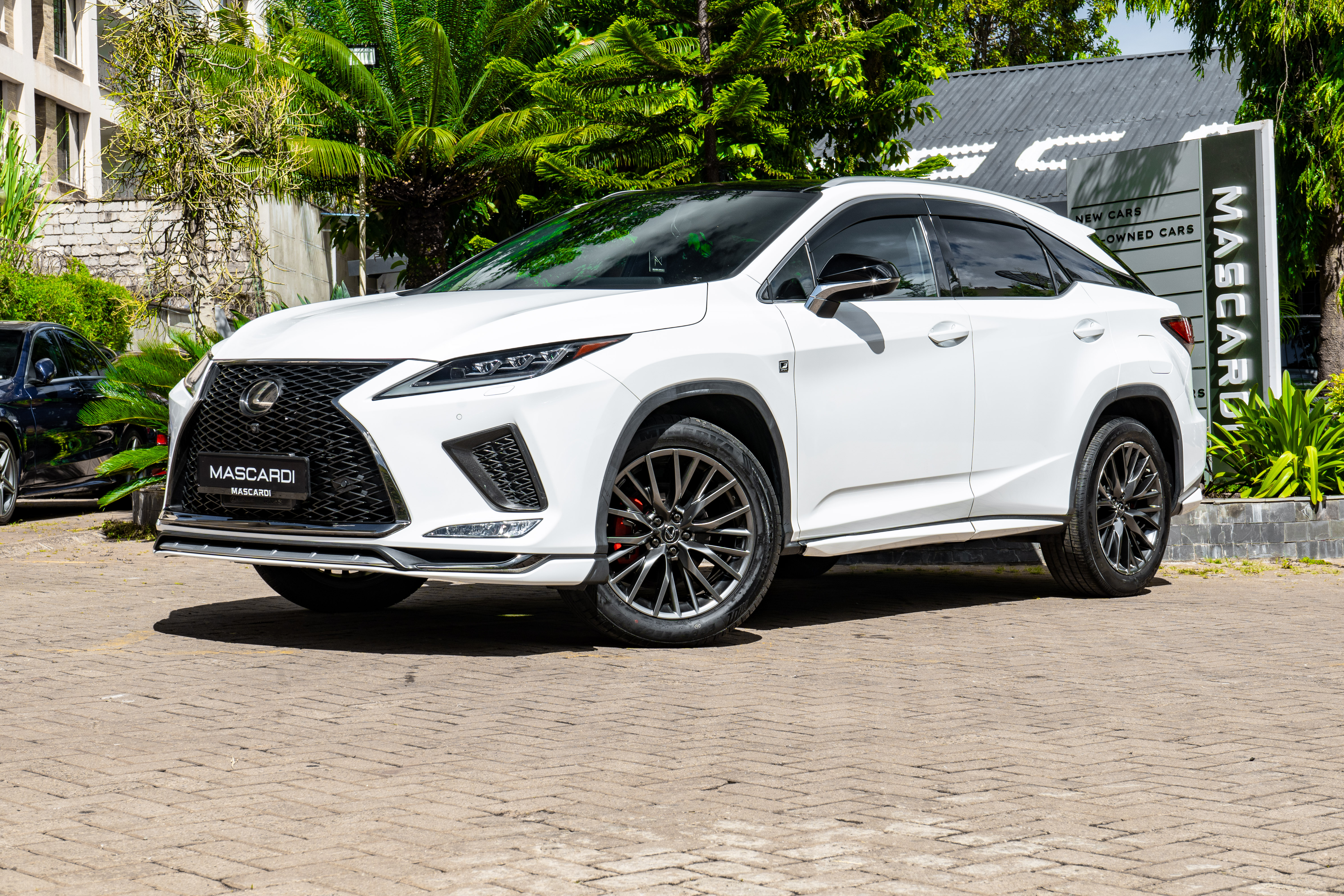 Lexus RX 300 F-Sport Package