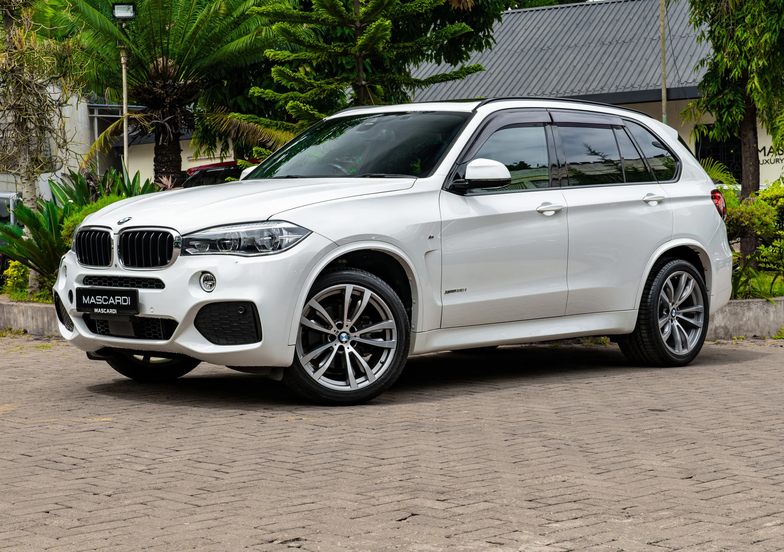 BMW X5 X-drive 35i