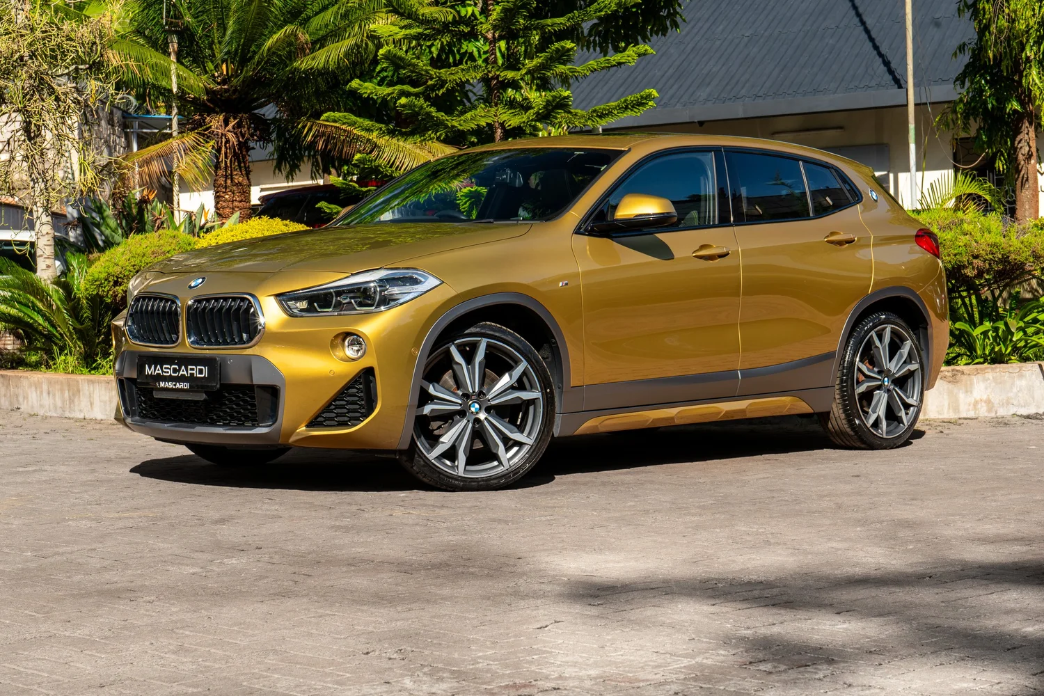 BMW X2