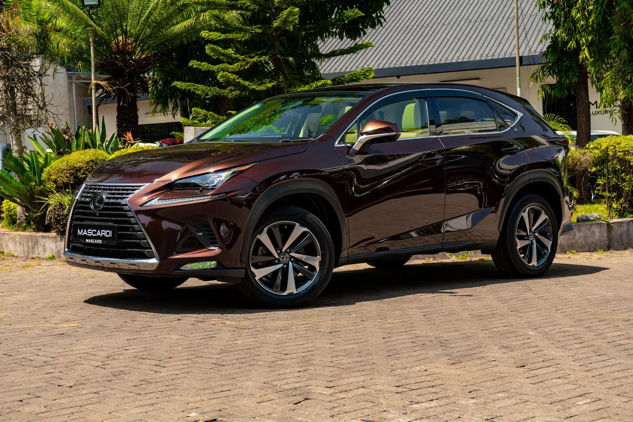Lexus NX 300