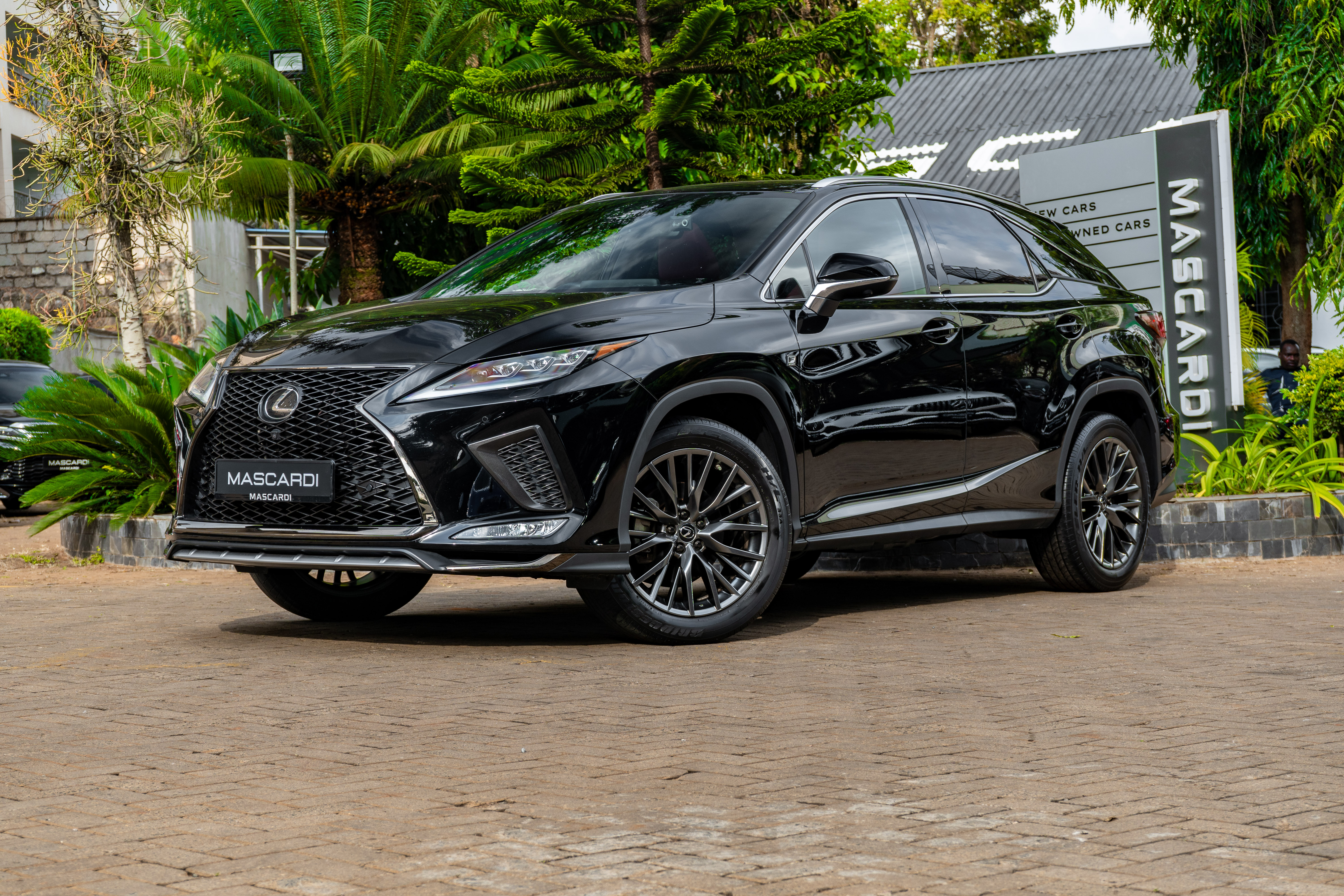 Lexus RX 300 F-Sport Package